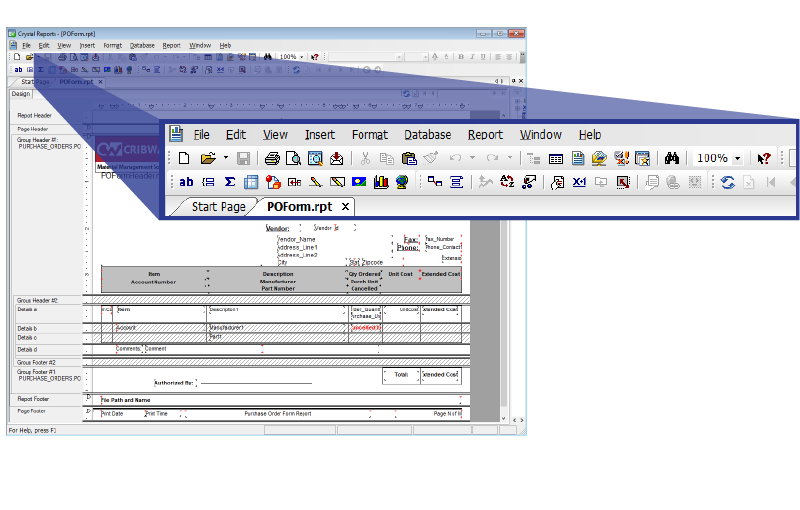 Report-Customization Report and form customization