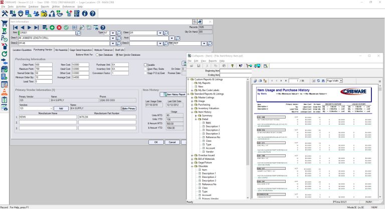 Item and inventory history report screen